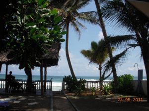 View of the beach